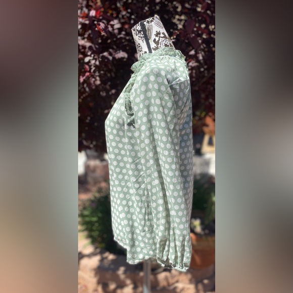 ROSE + OLIVE blouse Size XS. - Picture 5 of 9